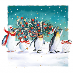 Set 10 felicitari - Wild Life - Christmas Penguins