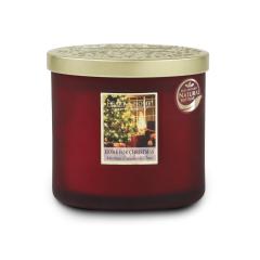 Lumanare parfumata - Twin Wick Ellipse Candle - Home for Christmas