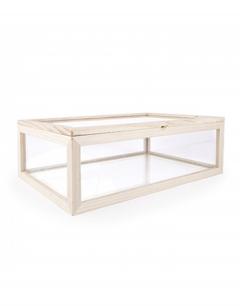 Cutie de depozitare din sticla