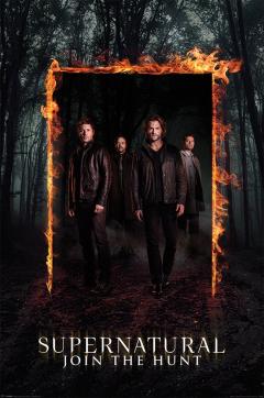 Poster - Supernatural Burning Gate