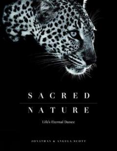 Sacred Nature - Life's Eternal Dance