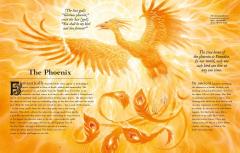 A Miscellany of Magical Beasts