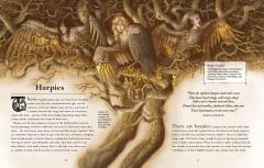 A Miscellany of Magical Beasts