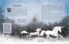 A Miscellany of Magical Beasts