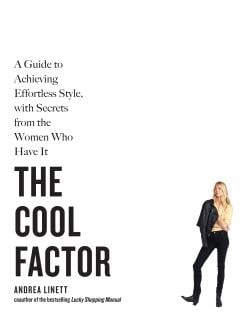 The Cool Factor Andrea Linett