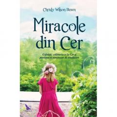 Miracole din cer Christy Wilson Beam