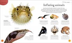 Weird and Wonderful Nature