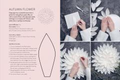 Stars and Snowflakes