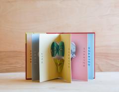 My Foolish Heart: A Pop-Up Book of Love