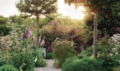 The Thoughtful Gardener