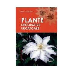 Plante decorative urcatoare Adrian Margarit