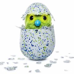 Hatchimals - Ou Verde