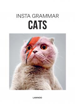 Insta Grammar: Cats Irene Schampaert