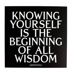 Magnet - Knowing Yourself