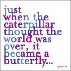 Magnet - Just When the Caterpillar | Quotable Cards