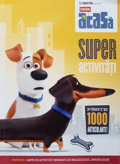 Singuri acasa. Superactivitati. Peste 1000 de autocolante