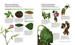 What's Wrong with My Plant? (and How Do I Fix It?)