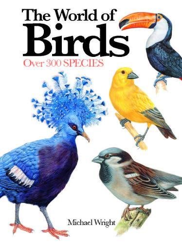 The World of Birds - Over 300 Species