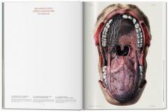 Bourgery. Atlas of Human Anatomy and Surgery