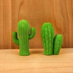 Set 2 radiere in forma de cactus