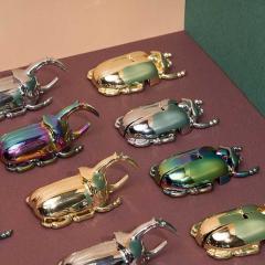 Desfacator de sticle - Insectum Silver