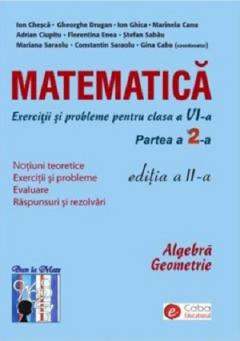 Matematica - exercitii si probleme pentru clasa a VI-a. Partea I