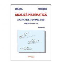 Analiza matematica - exercitii si probleme pentru clasa a XI-a, semestrul I