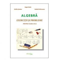 Algebra - Exercitii si probleme pentru clasa a XI-a