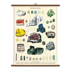 Poster vintage -Mineralogy