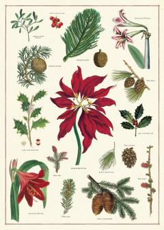 Hartie de impachetat - Christmas Botanical Wrap Decorative Paper