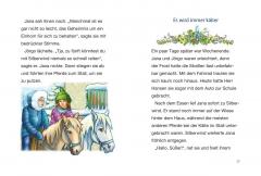 Silberwind, das weiße Einhorn 