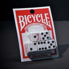 Set 5 zaruri - Bicycle Magic Hub