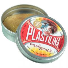 Plastilina Inteligenta - Super Magnetica Febra Aurie Ludicus Game