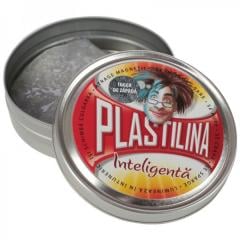 Plastilina Inteligenta - Inger de Zapada Ludicus Game