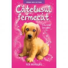 Catelusul fermecat Sue Bentley