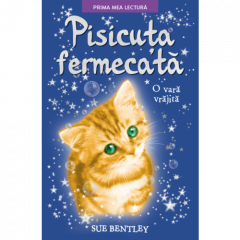Pisicuta fermecata Sue Bentley