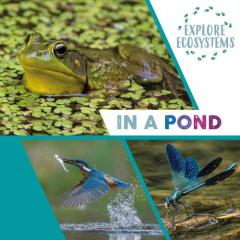 EXPLORE ECOSYSTEMS IN A POND