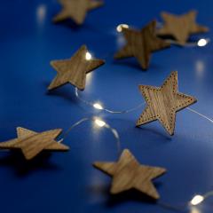 Ghirlanda de luminite - Micro LED Deco String Lights Steady BO Indoor - mai multe modele - pret pe bucata