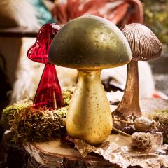 Vaza - Mushroom Transparent - mai multe modele - pret pe bucata