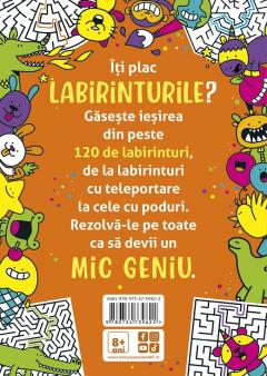 Micile genii: Jocuri cu labirinturi