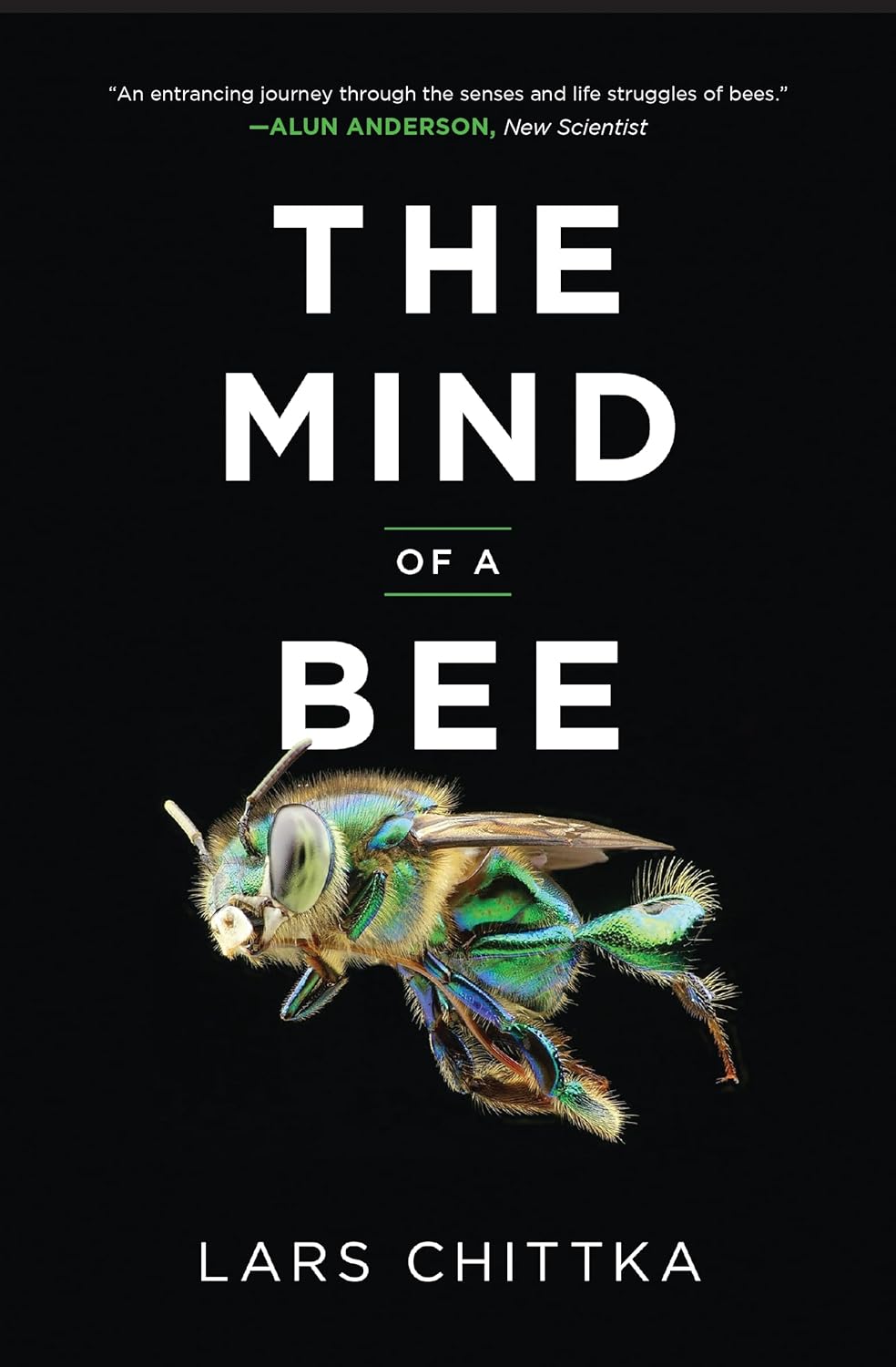 The mind of a bee lars chittka