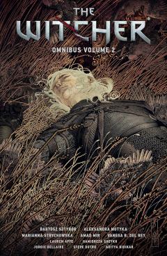 The Witcher Omnibus - Volume 2