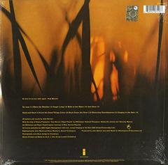 Vinyl - Bless The Weather