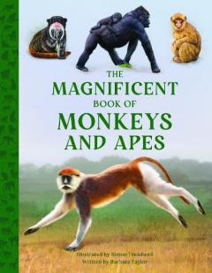 Coperta cărții Magnificent Book of Monkeys and Apes
