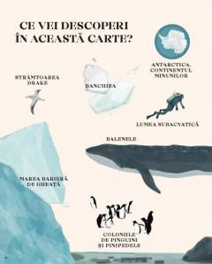 Antartica. Continentul minunilor