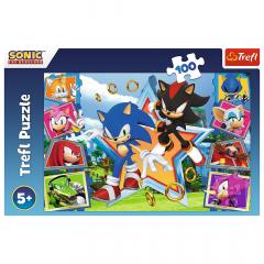 Puzzle 100 piese - Minunata lume a lui Sonic