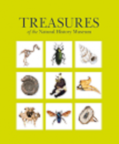 Treasures of the Natural History Museum