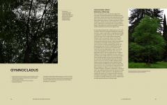 The Essential Tree Selection Guide