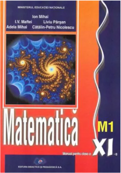 Matematica - Manual pentru clasa XI - M1