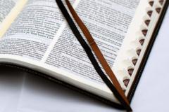 Biblia. Noua traducere 